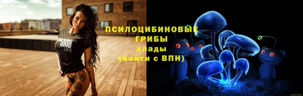 дмт Беломорск