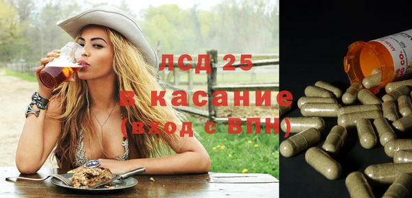 индика Баксан