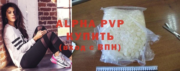 индика Баксан