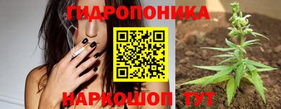 дживик Ставрополь