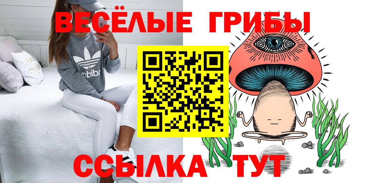 Галлюциногенные грибы Psilocybe  закладка  Галлюциногенные грибы Magic Shrooms  Сегежа  Вход с VPN 