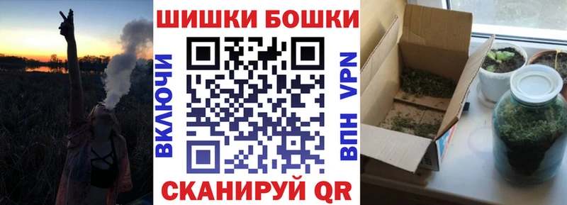 как найти наркотики  Сегежа  Бошки марихуана тримм 